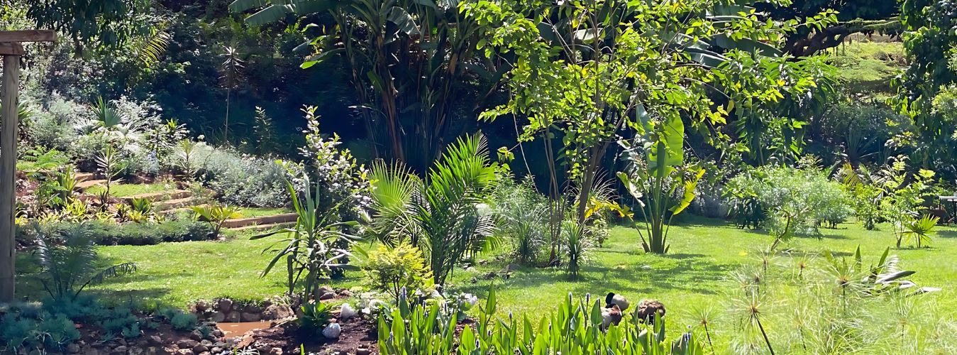 Beautiful green garden at Northern Block showing rich biodiversity.