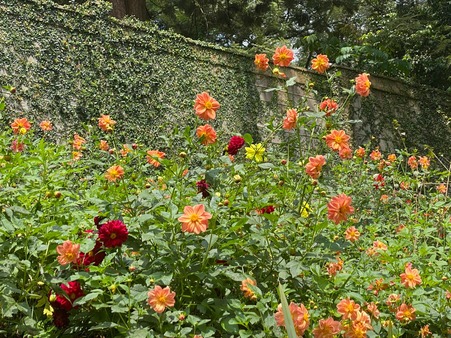 Northern Block Residents Ltd. founded from a movement to protect tree cover and biodiversity.