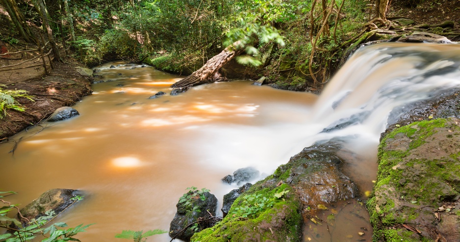 Hill View Residents’ Association addressing community concerns over Karura Forest.