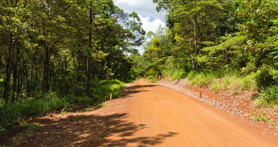 Northern Block representatives advocating for fair management of Karura Forest.