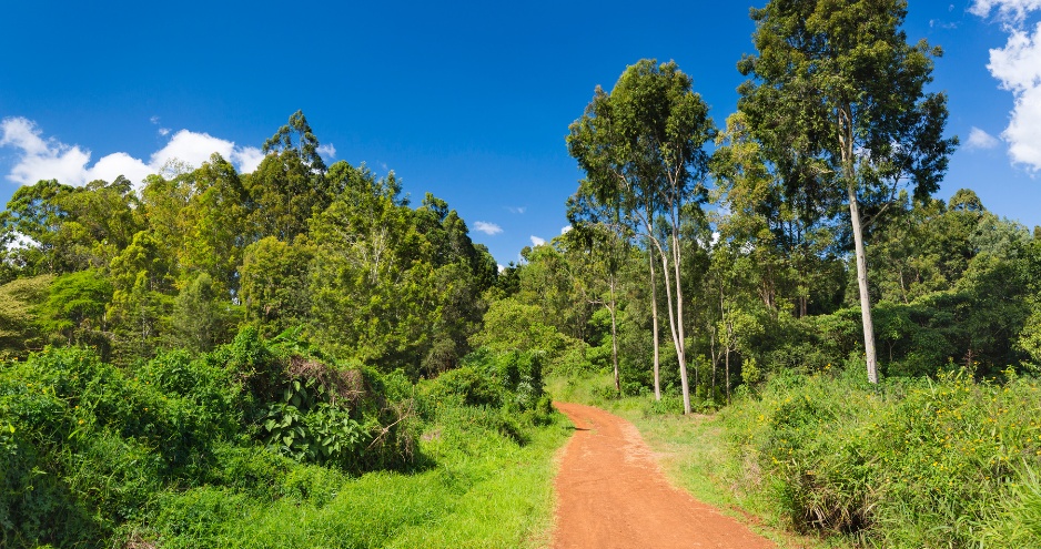 Peponi Road residents expressing concern over Karura Forest management changes.